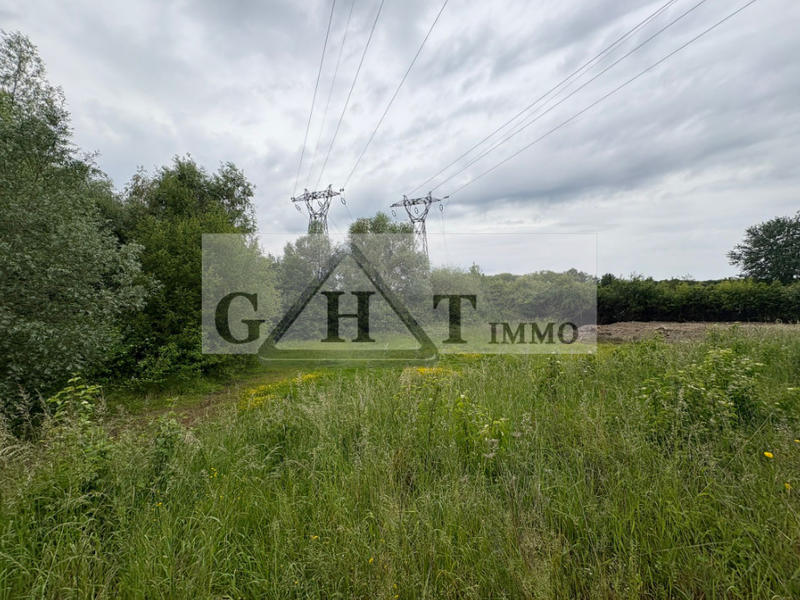 Entrepôt - 6 699 m²