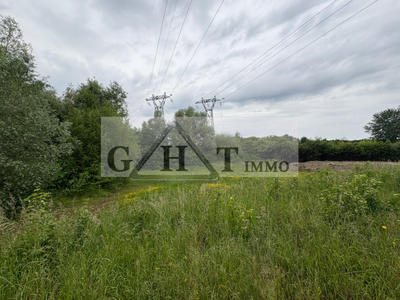 Entrepôt - 6 699 m²