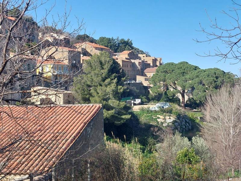 Terrain constructible - 1 100 m²