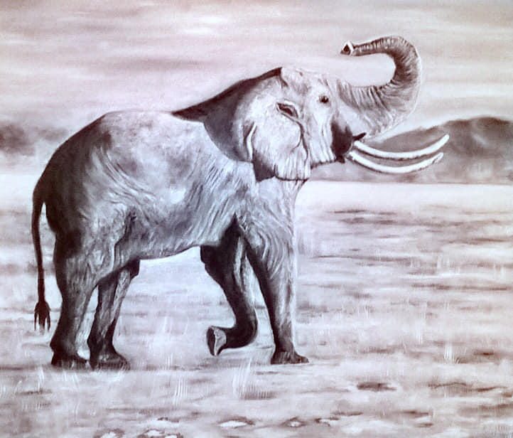 Cantine des Couleurs