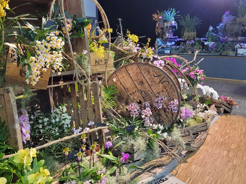 Exposition internationale d’orchidées