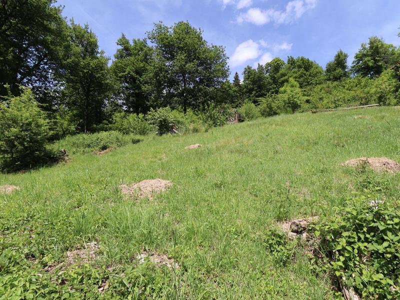 Maison - 85 m² - 5 pièces