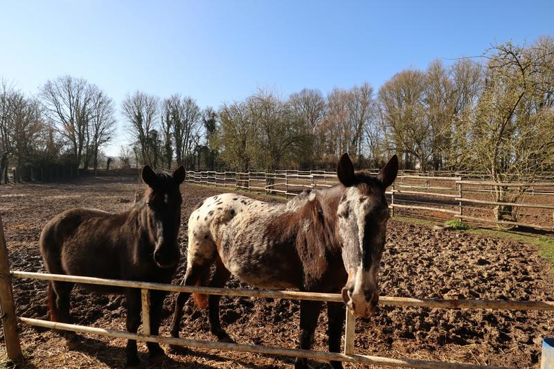 Maison - 164 m² - 9 pièces