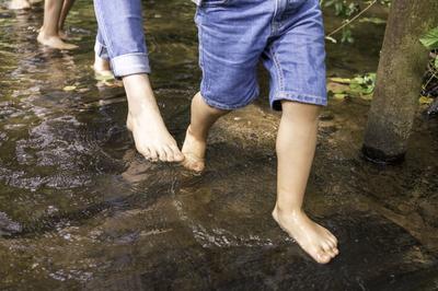 Jardins de Brocéliande