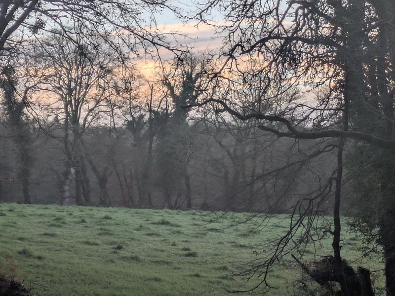 Propriété - 150 m² - 8 pièces