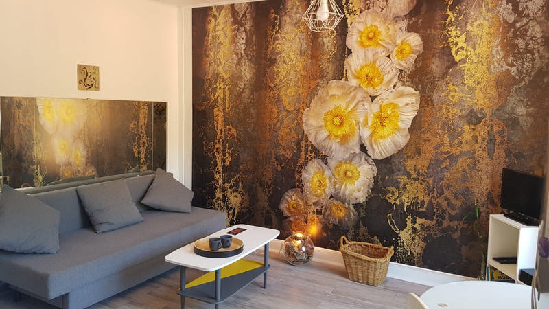 Appartement - 19 m² - 1 pièce