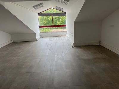 Bureau - 600 m² - 11 pièces