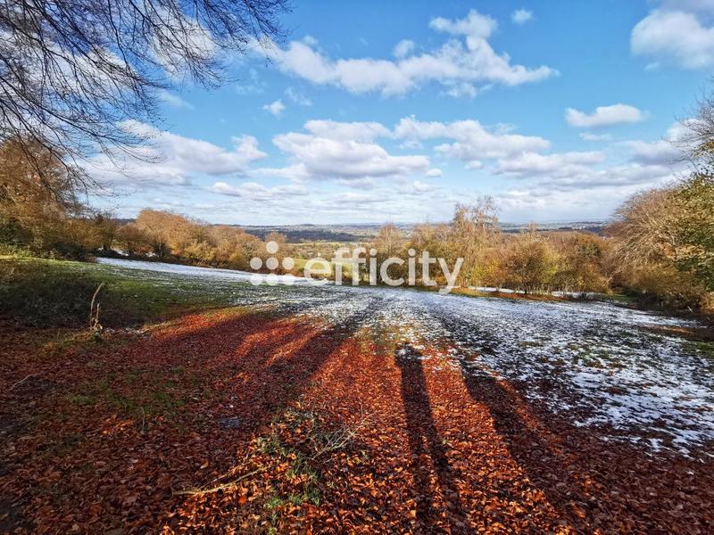 Maison de domaine équestre - 123 m² - 5 pièces