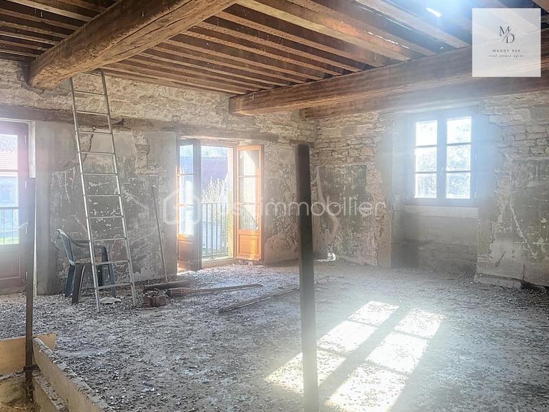 Propriété - 300 m² - 7 pièces