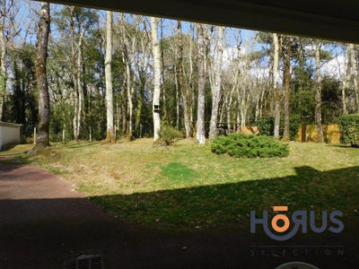 Viager - Maison - 175 m² - 5 pièces