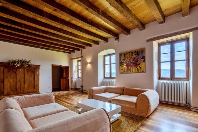 Château - 1 200 m² - 35 pièces