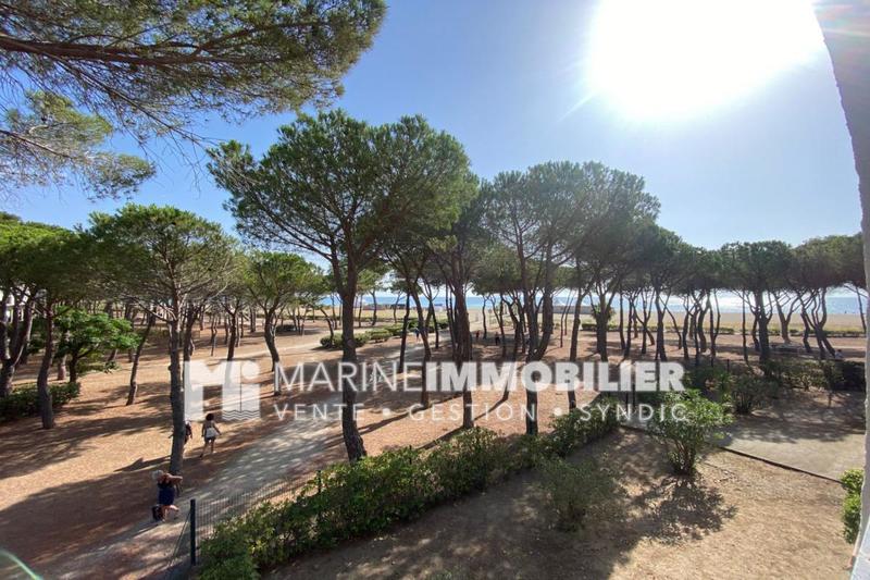 Studio - 25 m² - 1 pièce