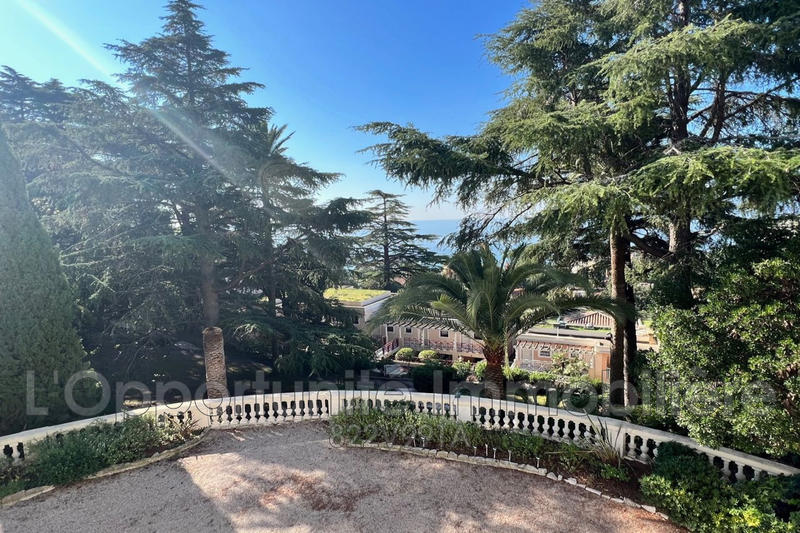 Appartement - 39 m² - 1 pièce