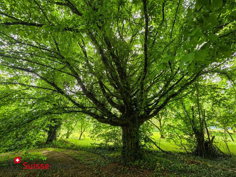 Maison de village - 140 m² - 6 pièces