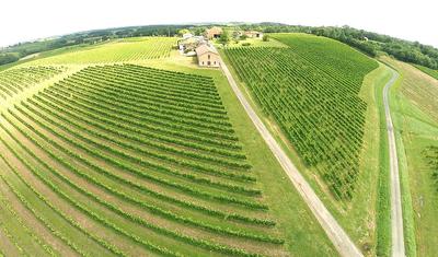 Propriété viticole - 920 m² - 4 pièces