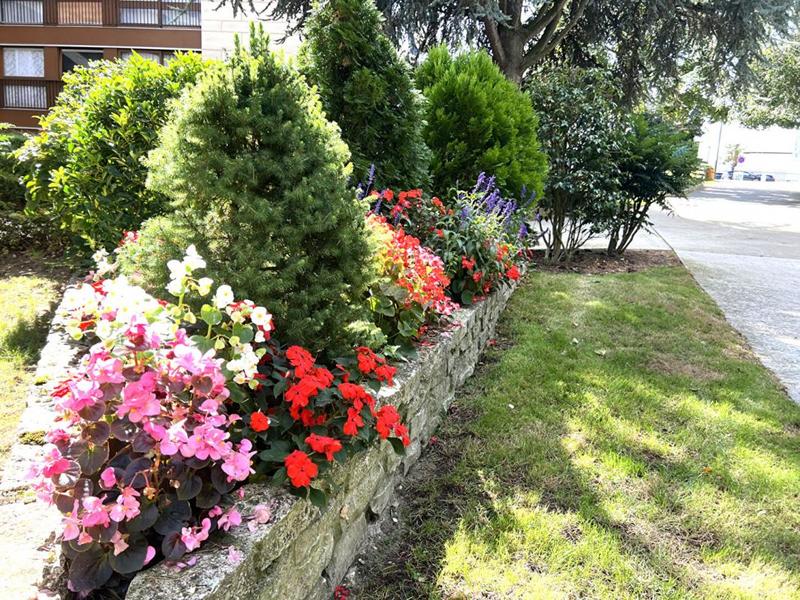 Appartement - 35 m² - 1 pièce