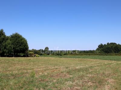 Terrain constructible - 1 632 m²