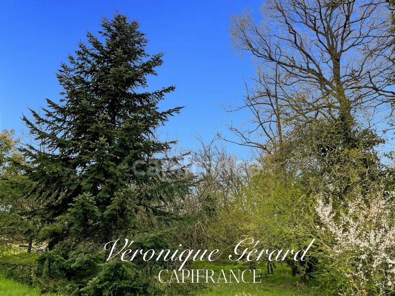 Maison en pierre - 190 m² - 6 pièces