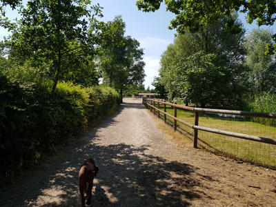 Maison - 300 m² - 8 pièces