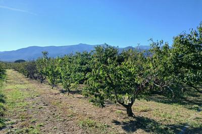 Terrain agricole - 7 121 m²