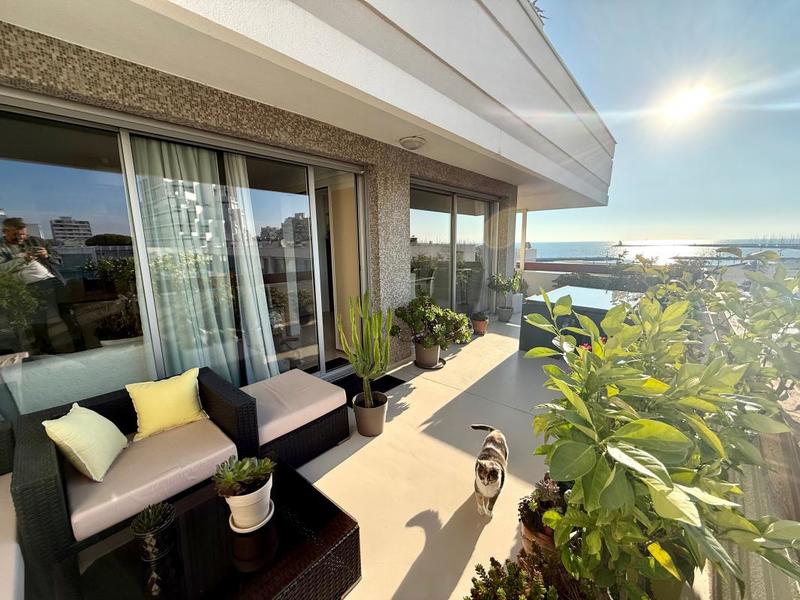 Appartement - 75 m² - 3 pièces