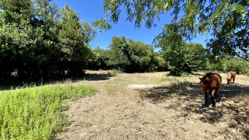 Maison - 225 m² - 10 pièces