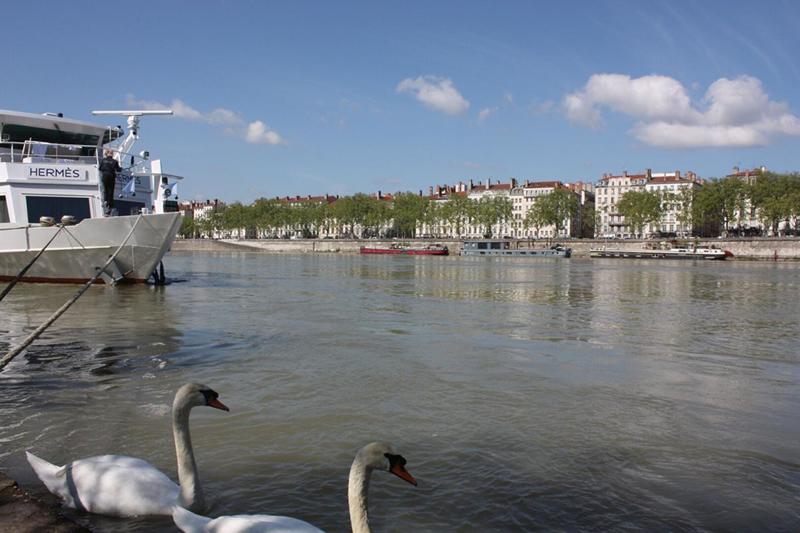 Appartement - 100 m² - 4 pièces