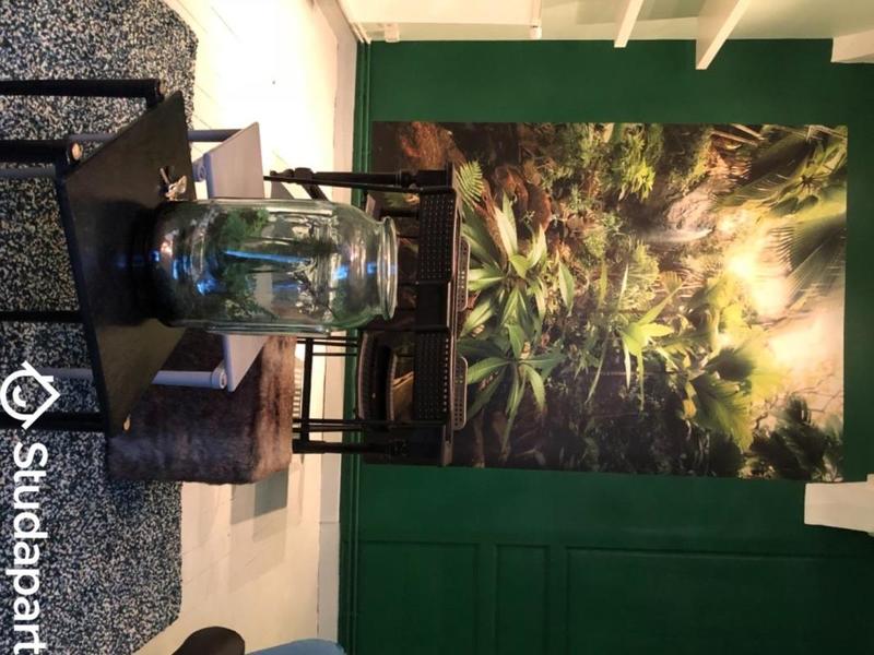 Appartement - 50 m² - 3 pièces