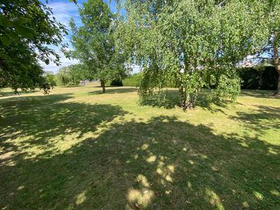 Terrain - 964 m²