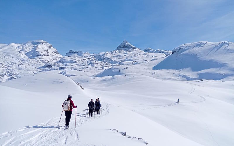 Randonnée accompagnée Mendi Gaiak : raquettes à neige (niveau 3)
