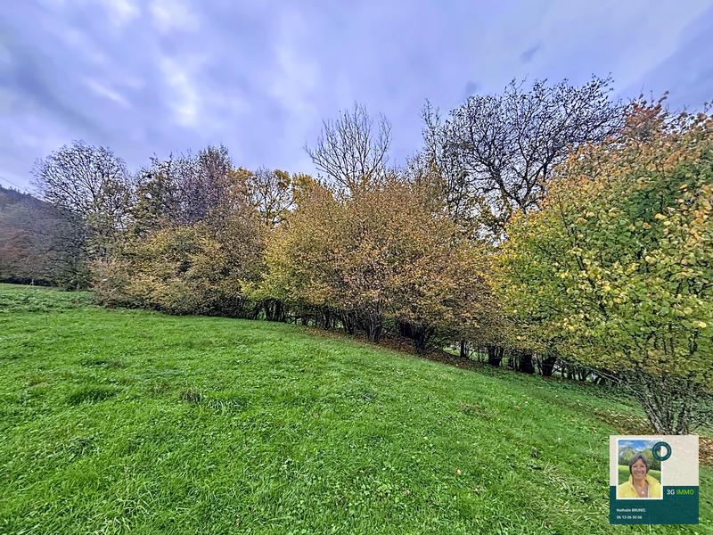 Terrain constructible - 1 589 m²