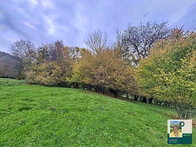 Terrain constructible - 1 589 m²