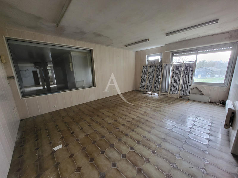 Local d'activité / Entrepôt - 1 035 m² - 8 pièces