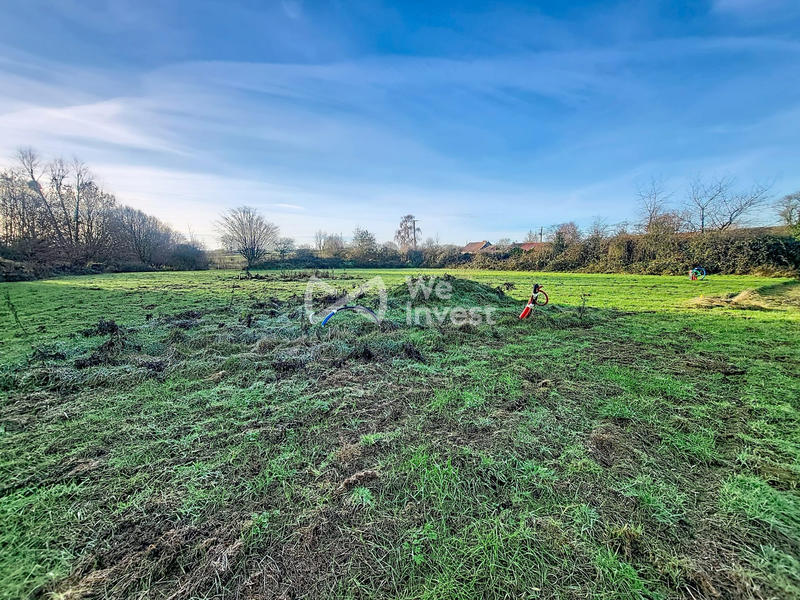 Terrain - 11 965 m²