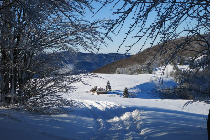 Club Vosgien : Randonnée raquettes au Platzerwaesel