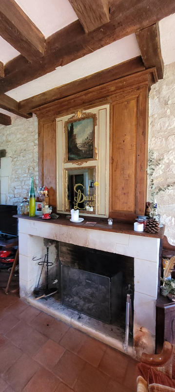 Maison - 350 m² - 10 pièces