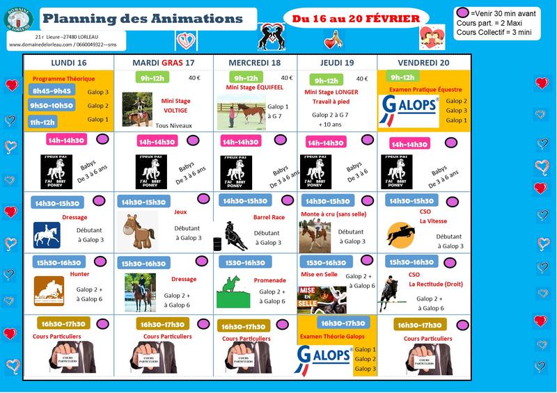 Planning des animations du 16 au 20 février 2026