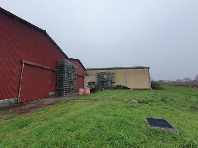 Entrepôt - 1 600 m²