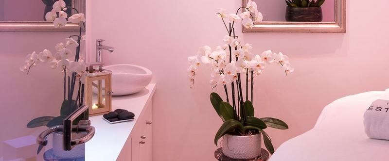 Magasins - 3 000 m²