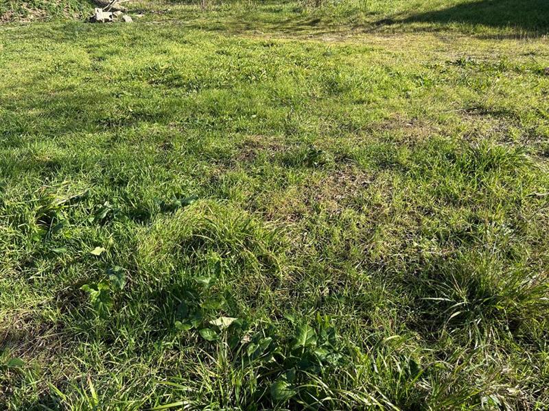 Terrain constructible - 441 m²