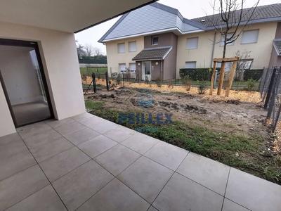 Appartement - 50 m² - 2 pièces