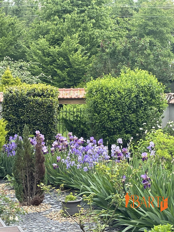 Maison ancienne - 317 m² - 7 pièces