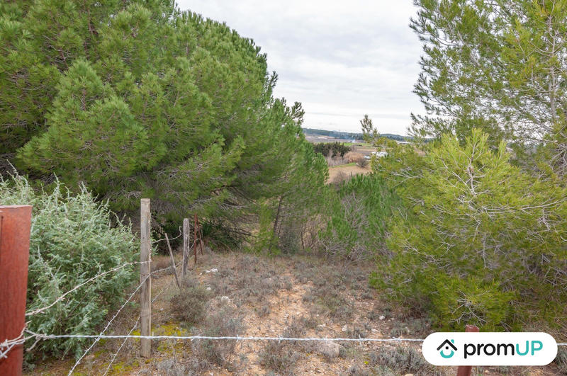 Terrain agricole - 10 601 m²