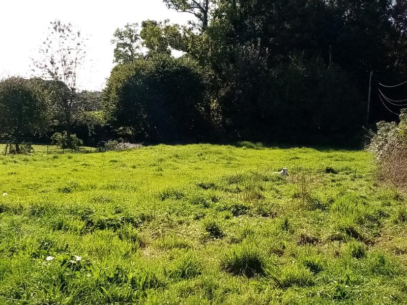 Terrain constructible - 1 300 m²