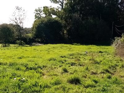 Terrain constructible - 1 300 m²