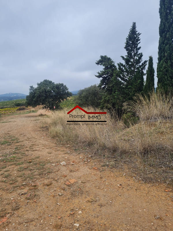 Terrain agricole - 23 648 m²
