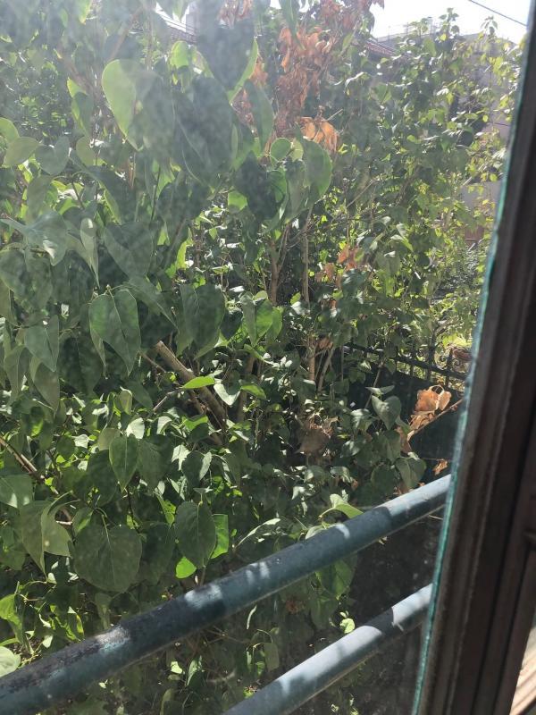 Pavillon - 60 m² - 3 pièces