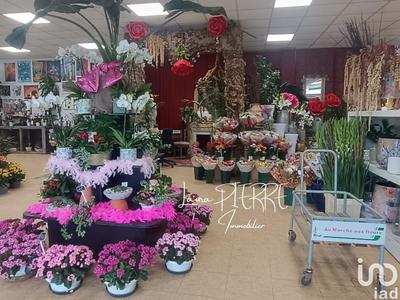 Local commercial - 417 m²