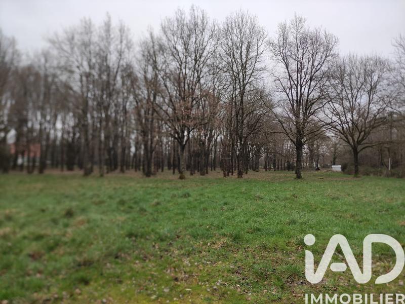 Terrain - 12 000 m²