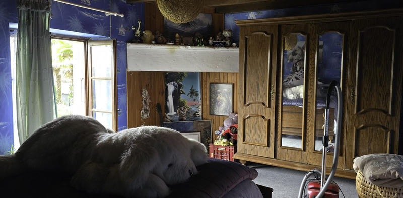 Viager - Maison - 118 m² - 6 pièces